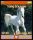 0098_WAP-SASISA-RU_White_Horse.thm